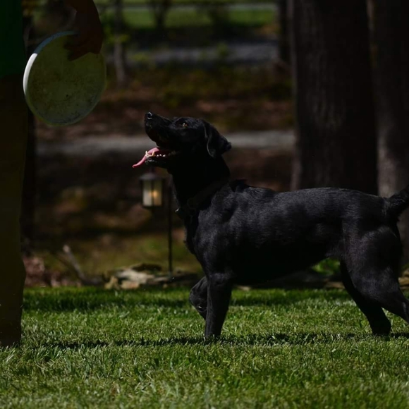 Meet your Posher, Keshia - Picture 8 of 12